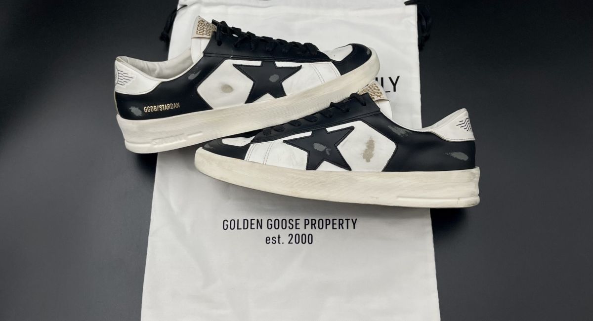 2966 Golden Goose 40