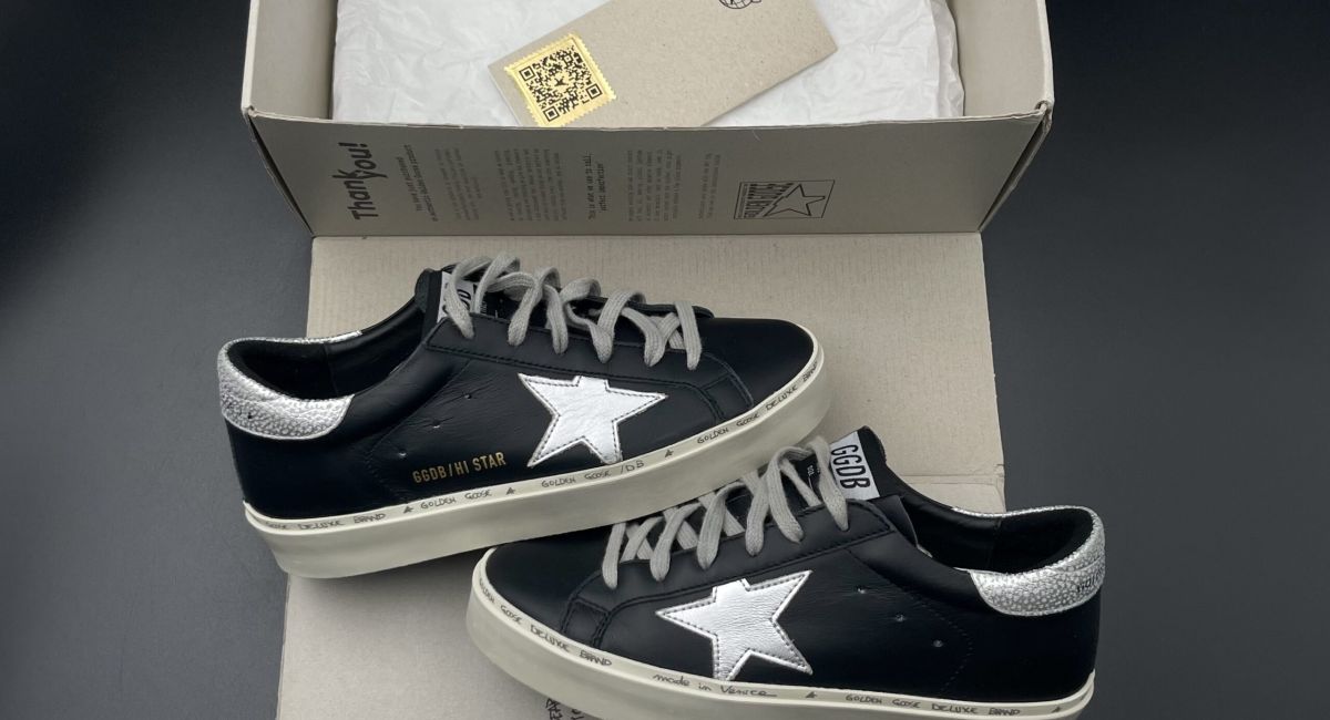 2976 Golden Goose 37