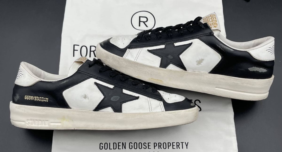 4246 Golden Goose 40