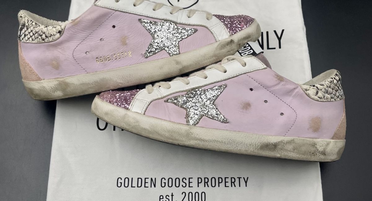 3179 Golden Goose 38