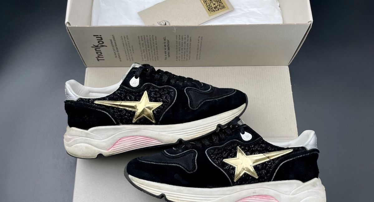 3159 Golden Goose 38