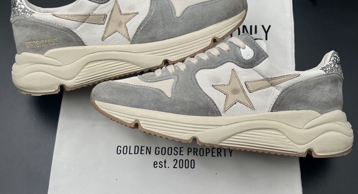 3174 Golden Goose 40